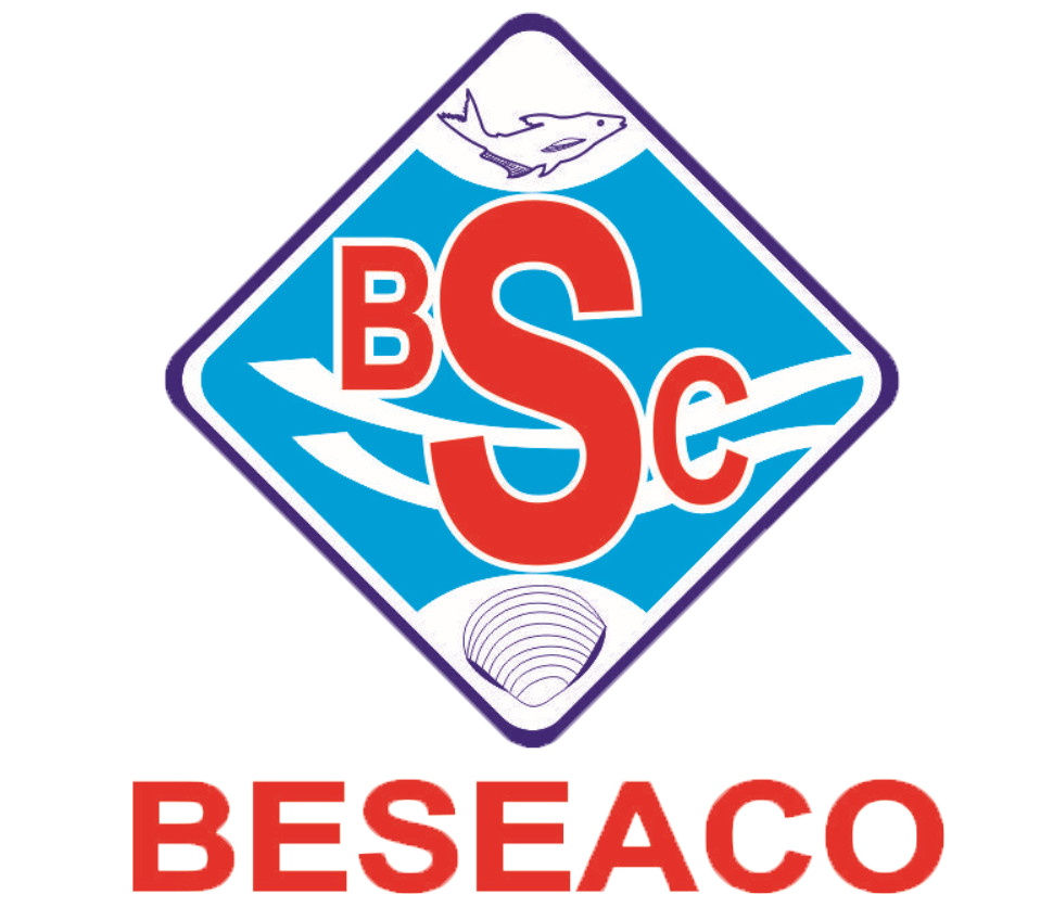 Beseaco Việt Nam